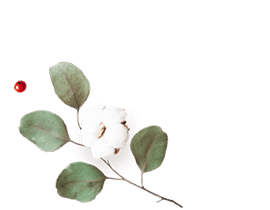 floating_image_flower_01 https://jaime-y-julie.click/wp-content/uploads/2020/12/floating_image_flower_01.png