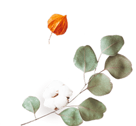 floating_image_flower_02 https://jaime-y-julie.click/wp-content/uploads/2020/12/floating_image_flower_02.png