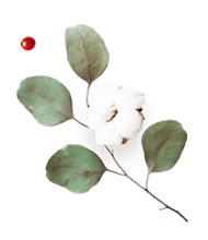 https://jaime-y-julie.click/wp-content/uploads/2020/12/floating_image_flower_03.png