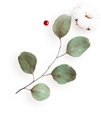 https://jaime-y-julie.click/wp-content/uploads/2020/12/floating_image_flower_04.png